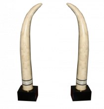 Maitland Smith Tessellated Coral & Mother Of Pearl Tusks MID-CENTURY MODERN-Modernism