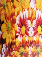 CONTEMPORARY-Modernism